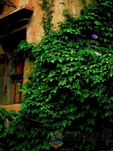 ��ת IMG_02811.jpg