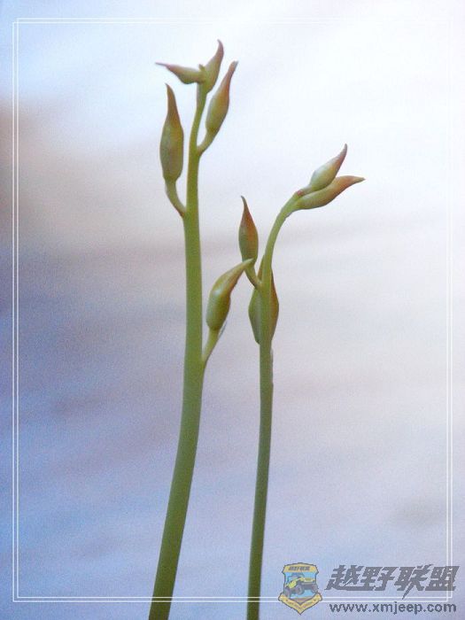 ���� 002.jpg