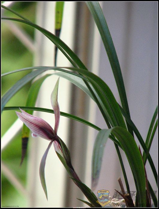 ���� 004.jpg