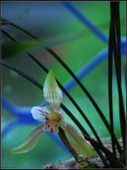 ���� 006.jpg