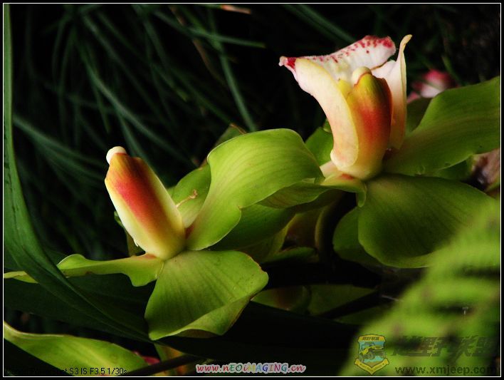 ���� 032.jpg