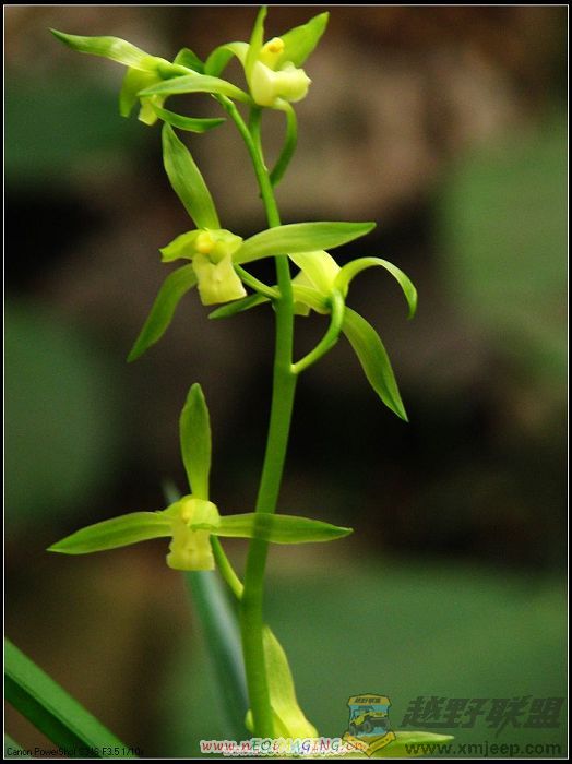 ���� 008.jpg