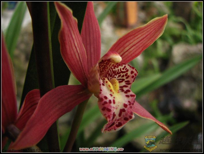 ���� 035.jpg