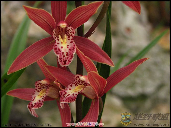 ���� 036.jpg