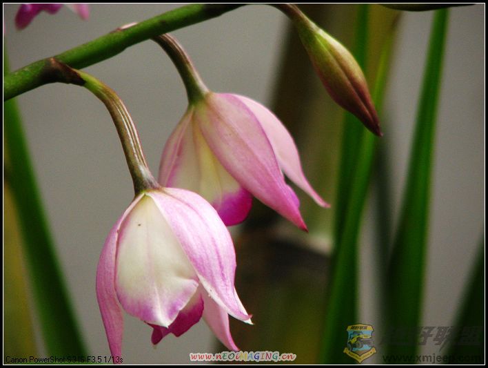 ���� 039.jpg