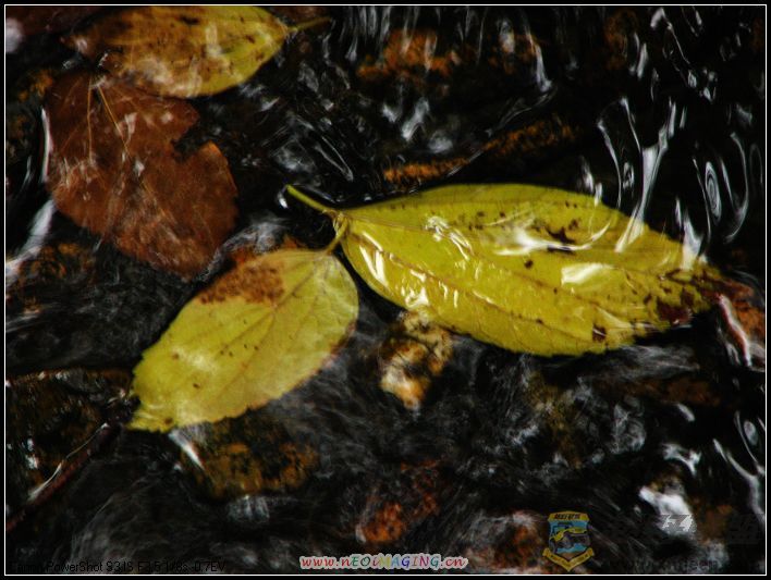 ���� 013.jpg