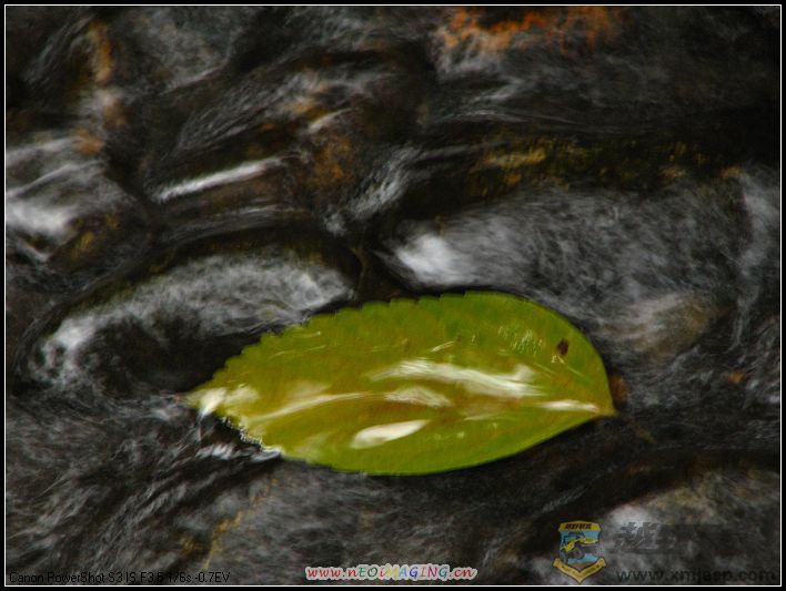 ���� 015.jpg