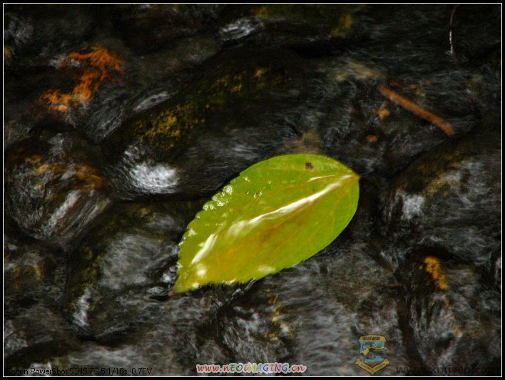 ���� 019.jpg