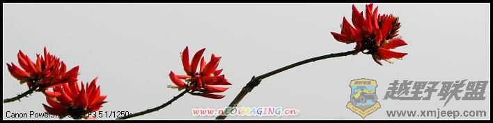 ɭ�ֹ�԰ 019A.jpg