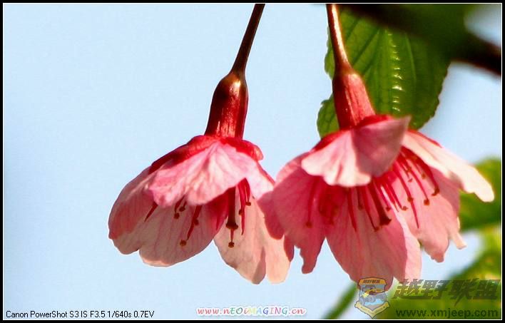 ɭ�ֹ�԰ 022.jpg