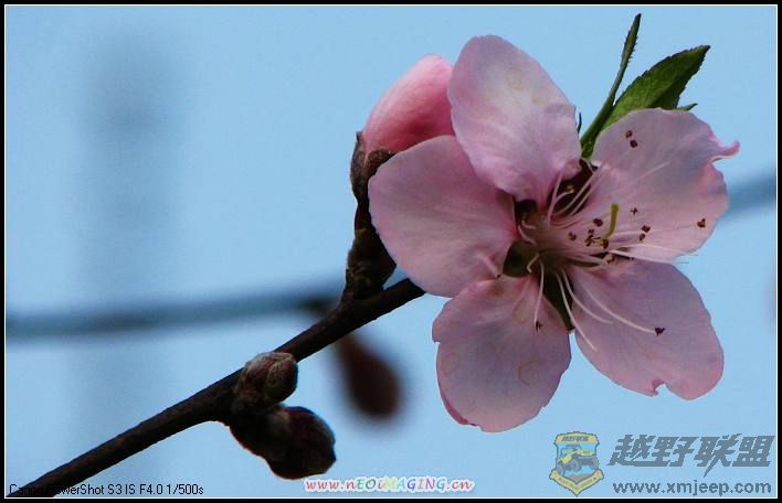 ɭ�ֹ�԰ 037.jpg