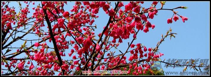 ɭ�ֹ�԰ 023.jpg