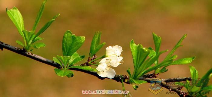 ֲ��԰~�� 003.jpg