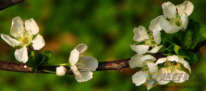 ֲ��԰~�� 005.jpg