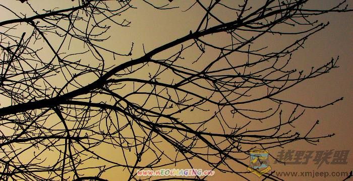 ֲ��԰~�� 012.jpg