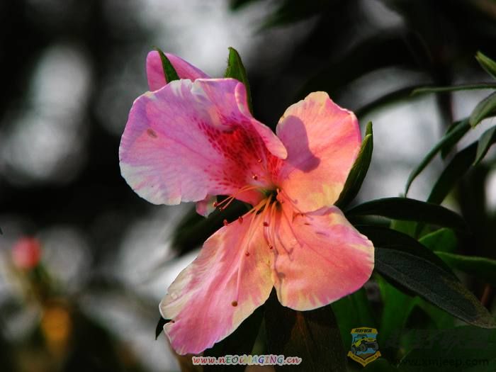 ֲ��԰~�� 016.jpg