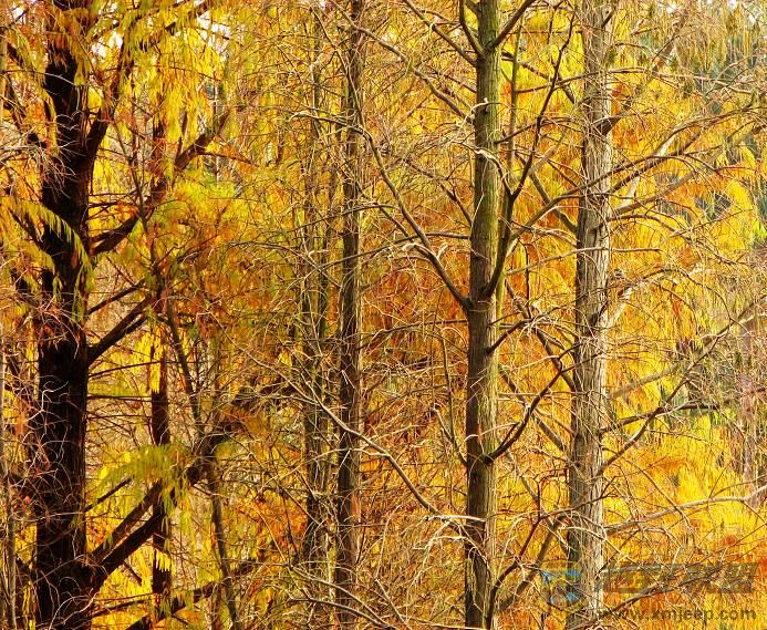 ֲ��԰~�� 011.jpg