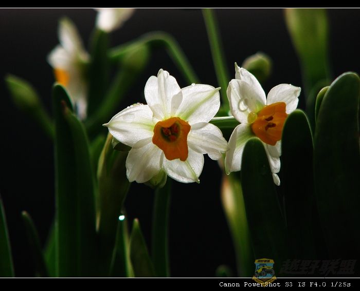 ���� 065.jpg