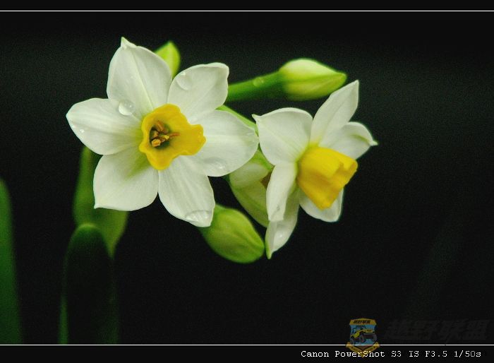 ���� 097.jpg