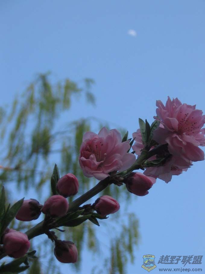 ������ ��Ӱ �һ�.jpg