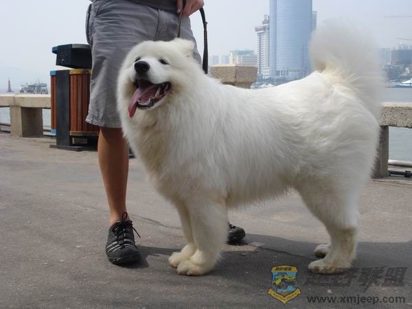 ������С DSC08055.jpg