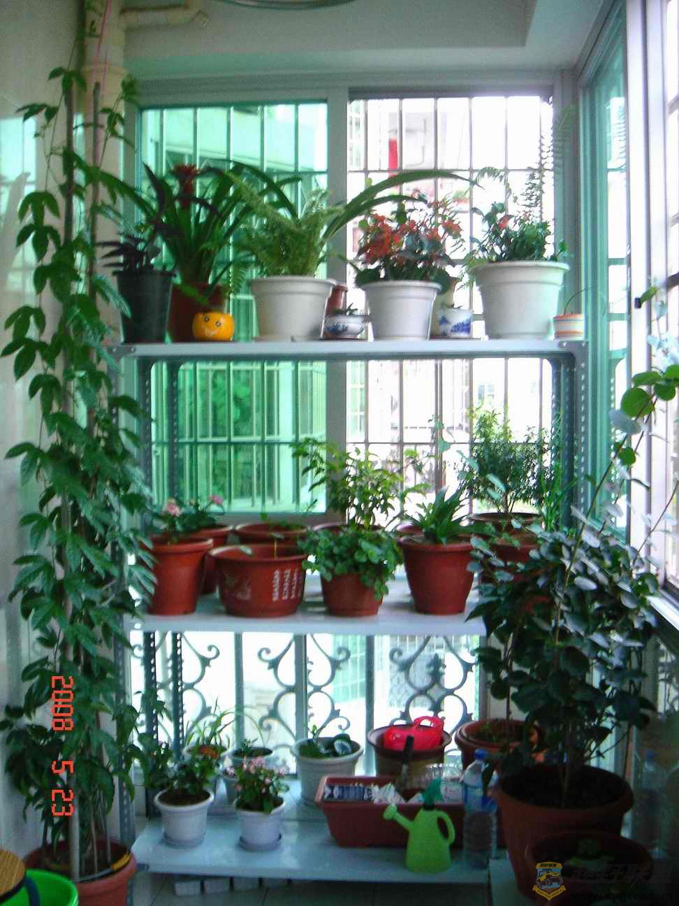 �����ع� ��ת DSC05567.JPG