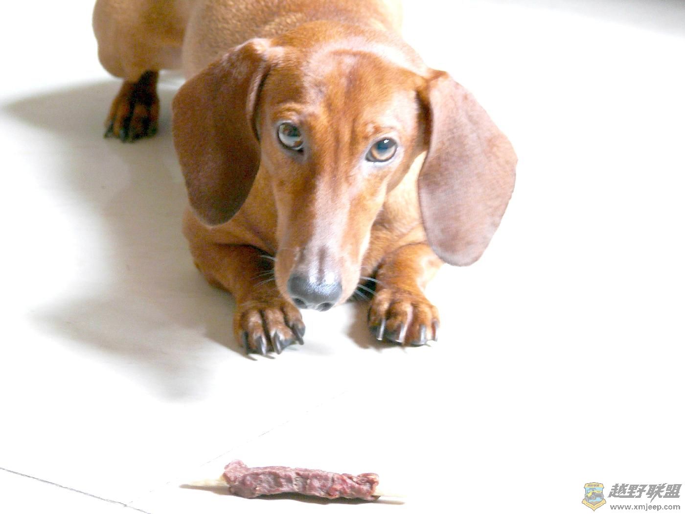 ���ջ��СС (2).JPG