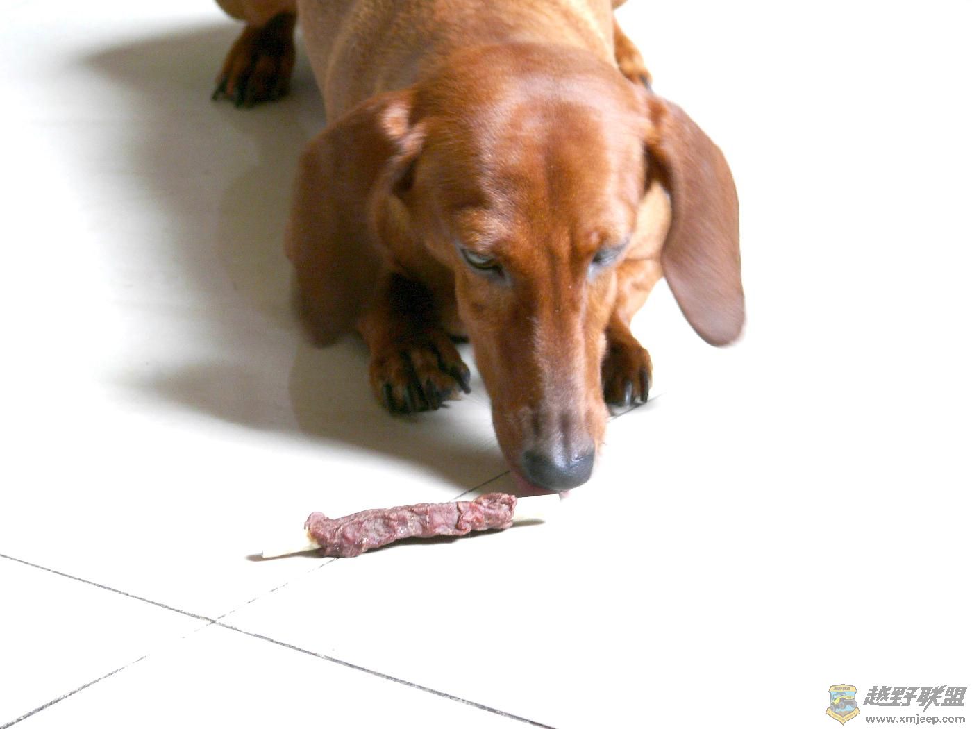 ���ջ��СС (3).JPG