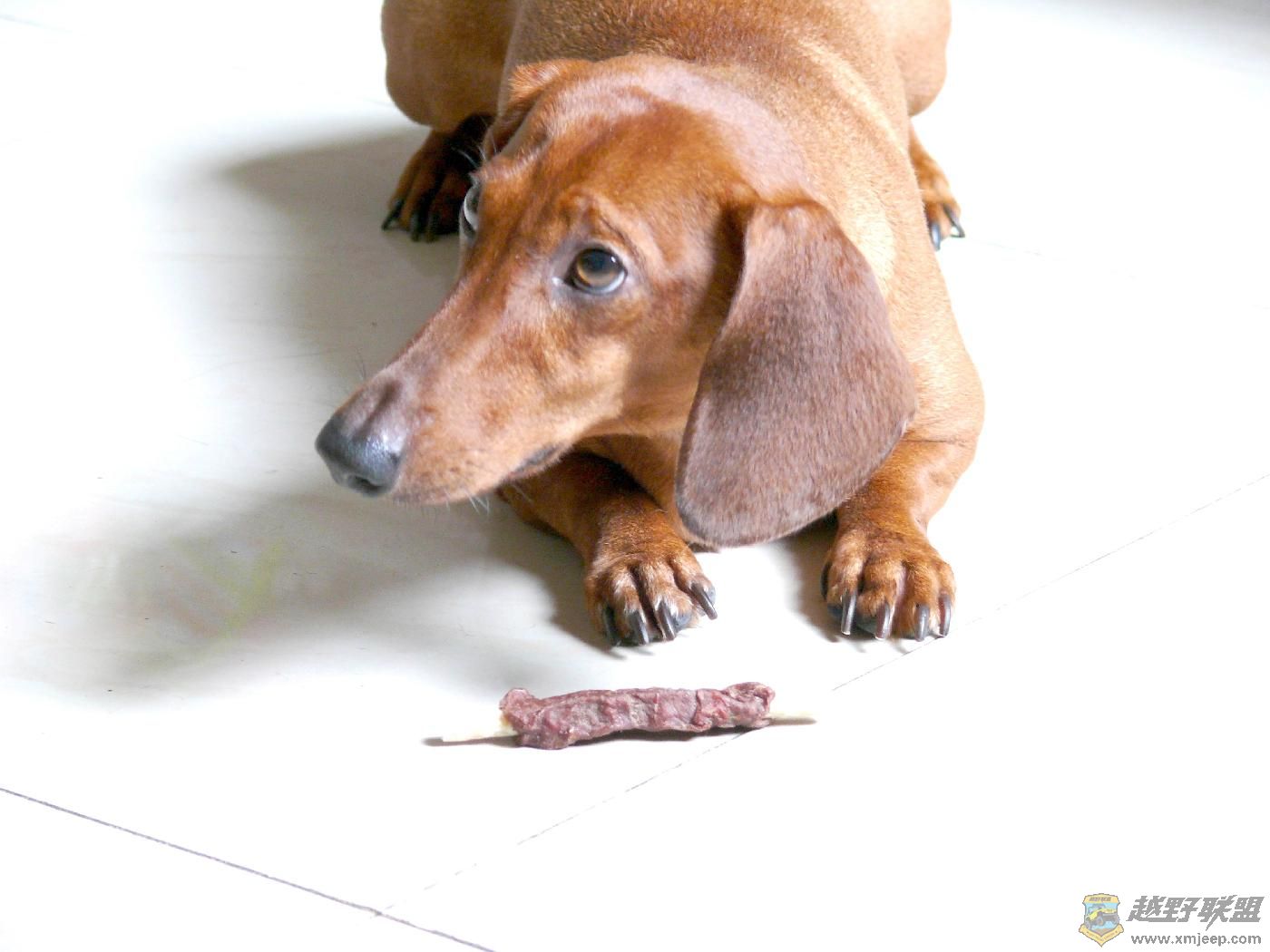 ���ջ��СС (4).JPG