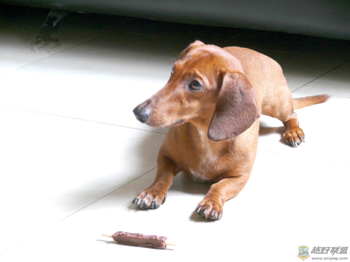 ���ջ��СС (5).JPG