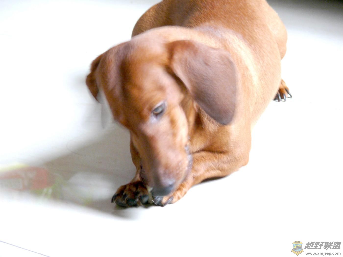 ���ջ��СС (7).JPG