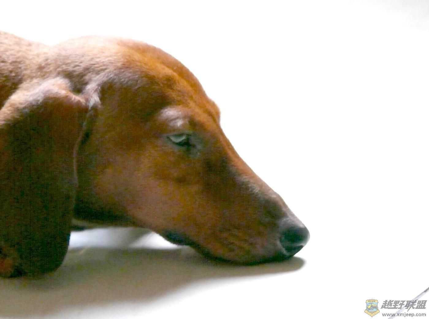 ���ջ��СС (����).JPG