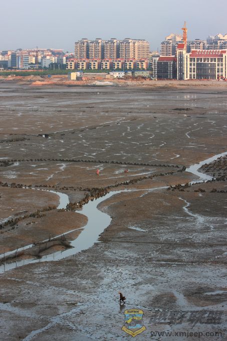 �������� 100��.jpg