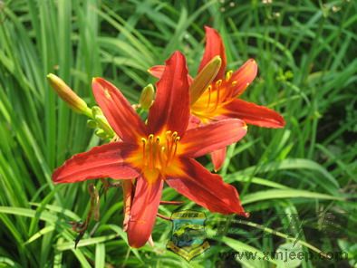 ��Ƭ 028_resize.jpg