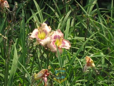 ��Ƭ 027_resize.jpg