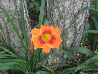 ��Ƭ 032_resize.jpg