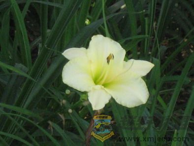 ��Ƭ 031_resize.jpg