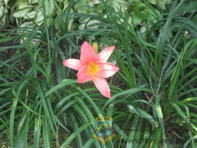 ��Ƭ 040_resize.jpg