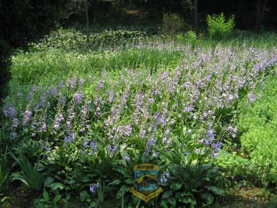 ��Ƭ 050_resize.jpg