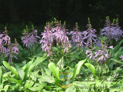 ��Ƭ 042_resize.jpg