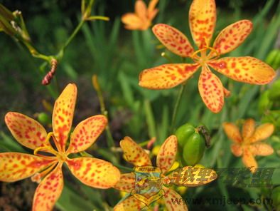 ��Ƭ 117_resize.jpg