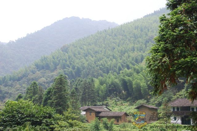 2008��8��9�����ҽ�ɽ�� 001_������С.jpg