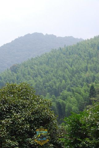 2008��8��9�����ҽ�ɽ�� 003_������С.jpg