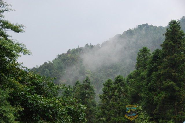 2008��8��9�����ҽ�ɽ�� 032_������С.jpg