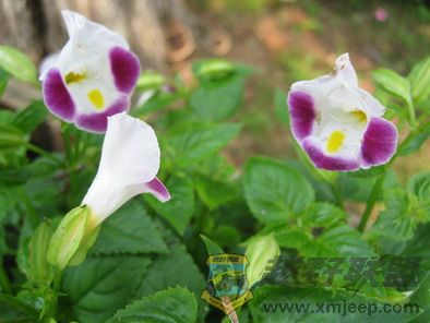 ��Ƭ 120_resize.jpg