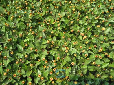 ��Ƭ 084_resize.jpg