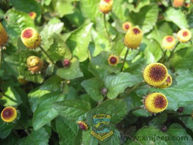 ��Ƭ 085_resize.jpg