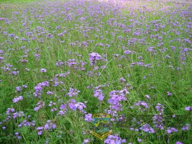 ��Ƭ 112_resize.jpg