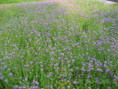 ��Ƭ 113_resize.jpg