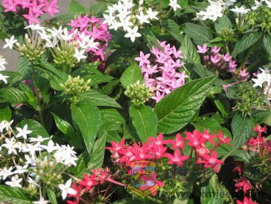 ��Ƭ 059_resize.jpg